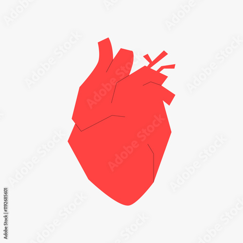 Red anatomical heart in flat vector illustration symbolizing health, cardiology, and medical care, isolated on white background.