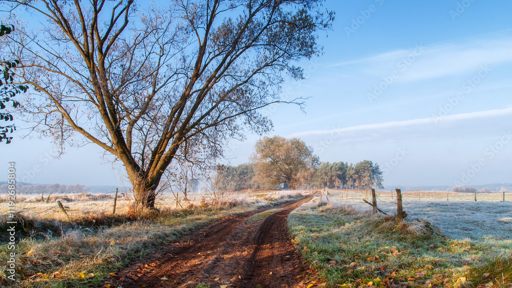 Piękno zimowego krajobrazu w dolinie rzeki Narew, Podlasie, Polska