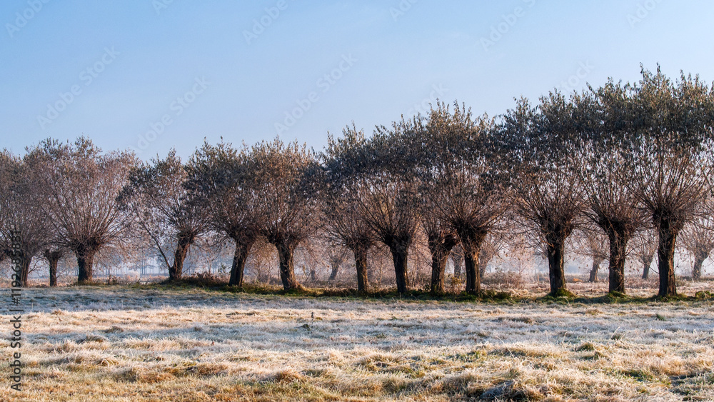 Piękno zimowego krajobrazu w dolinie rzeki Narew, Podlasie, Polska