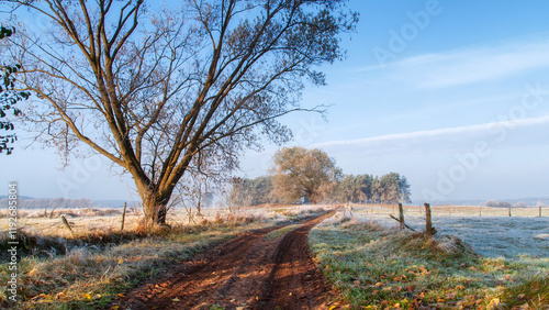 Obraz na płótnie Piękno zimowego krajobrazu w dolinie rzeki Narew, Podlasie, Polska w salonie