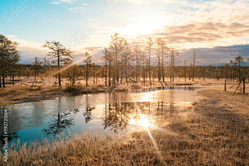 Panoramic landscape of Lahemaa national park  by sunrise with swamps and ancient trees