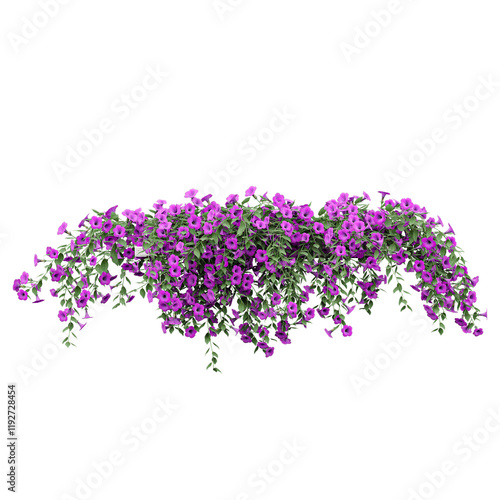 collection of hanging Morning glory Plant isolated on realistic style photo