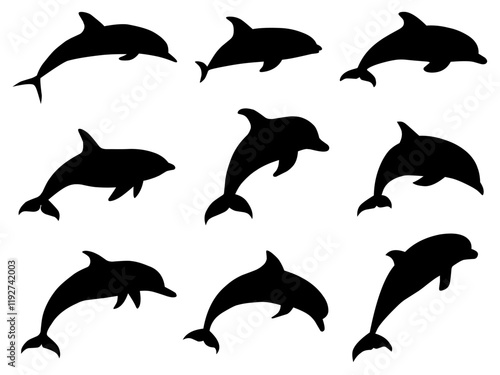 set of dolphins