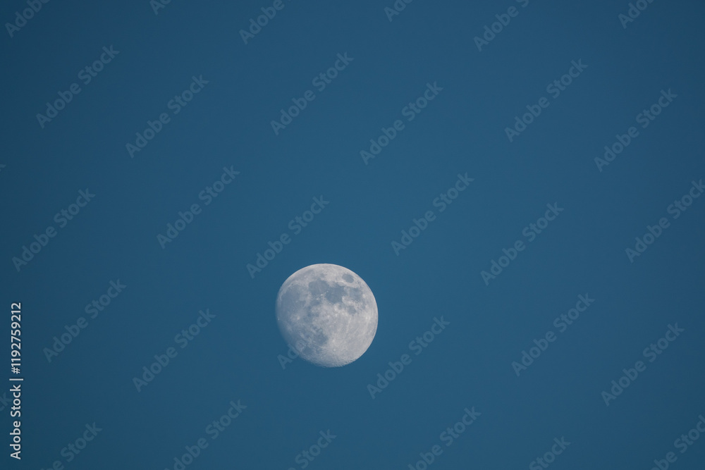 Aufgehender Vollmond vor blauem und wolkenlosem Himmel Aufgehender Vollmond vor blauem und wolkenlosem Himmel