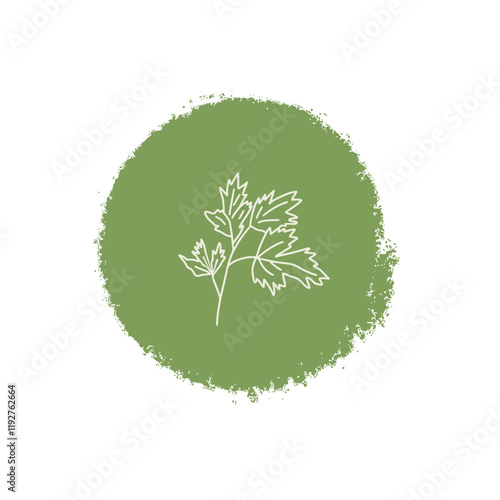 Parsley culinary herb label. Hand drawn badge. Vector hand drawn doodle illustration isolated on white background.