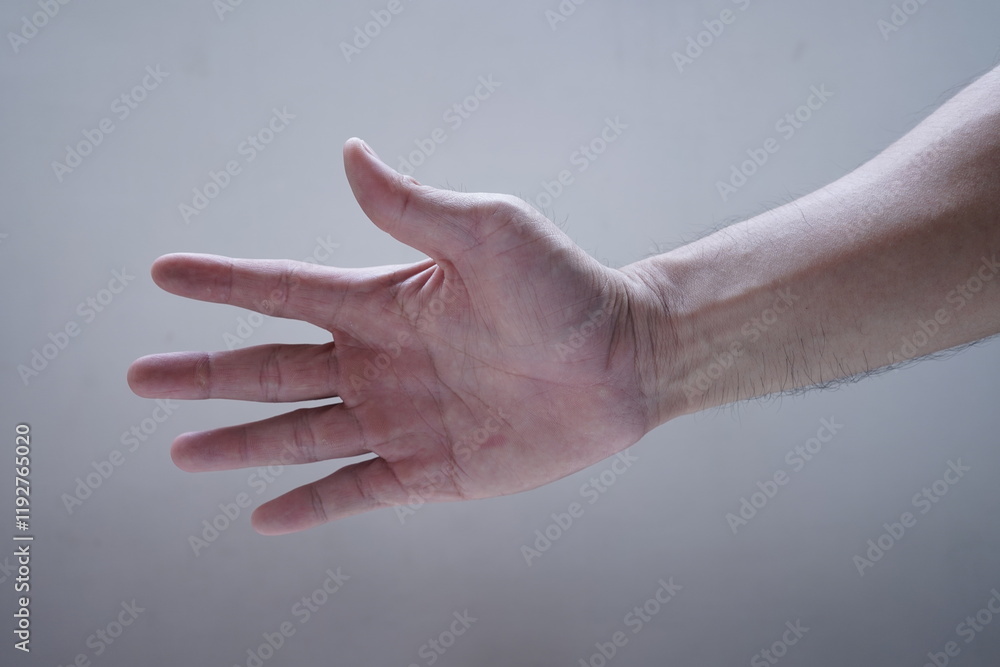 hand gesture, with provide to hand shake hand gesture, with provide to hand shake