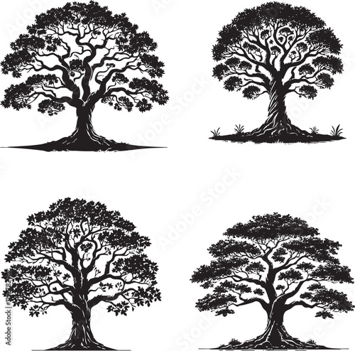 Vector Silhouettes of the Sacred Fig Tree Isolated on a White Background