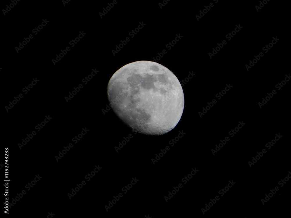 Obraz premium The Moon