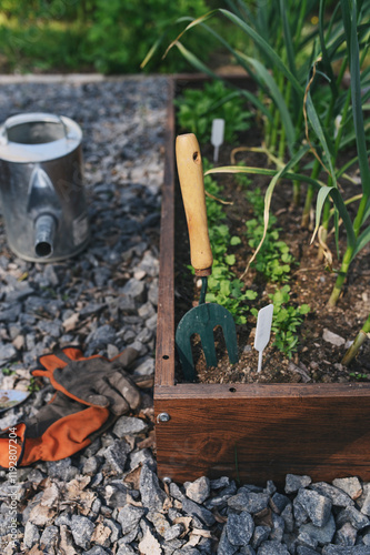 Wallpaper Mural spring vegetable garden work. Seeding and growing herbs in raised garden beds. Gloves, watering can and tools. Torontodigital.ca