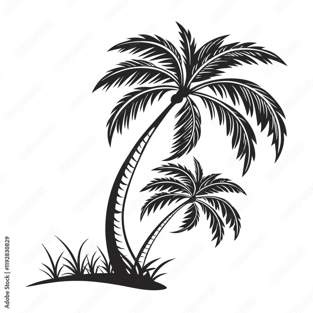 Black and White Palm Tree Illustration Black and White Palm Tree Illustration