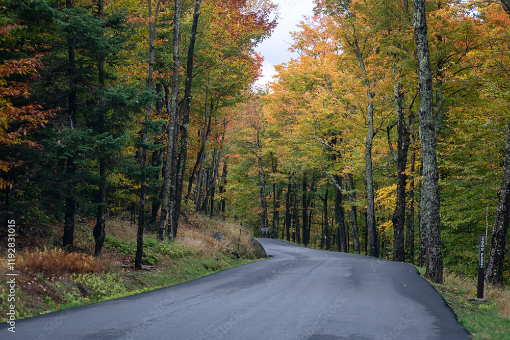 Fototapeta premium White Mountain National Forest, USA