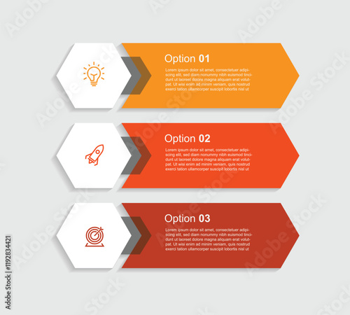3 slide vertical template infographic 