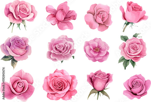 seamless pattern with roses