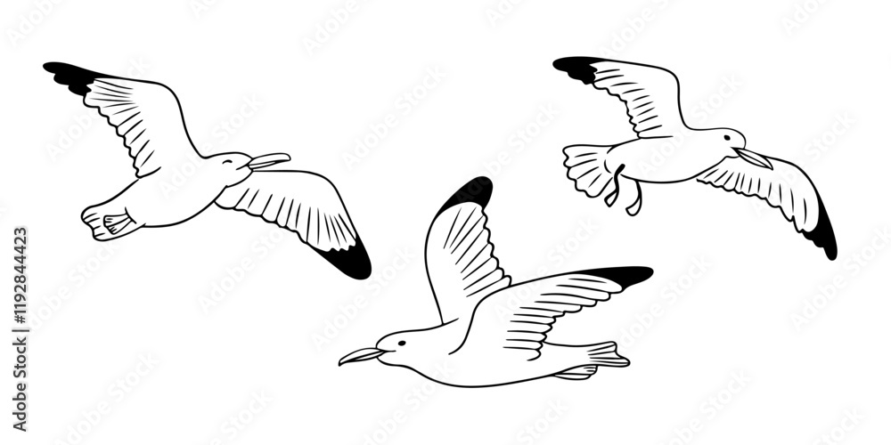 Set of black and white illustrations of seagulls in flight, showcasing different wing positions, simple outlines, and a minimalistic style on a white background Set of black and white illustrations of seagulls in flight, showcasing different wing positions, simple outlines, and a minimalistic style on a white background