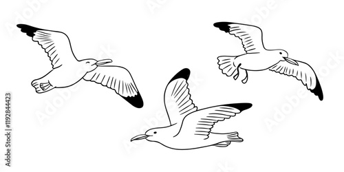 Set of black and white illustrations of seagulls in flight, showcasing different wing positions, simple outlines, and a minimalistic style on a white background