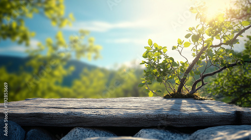 Wallpaper Mural Natural mockup with stone platform and forest background for product display Torontodigital.ca