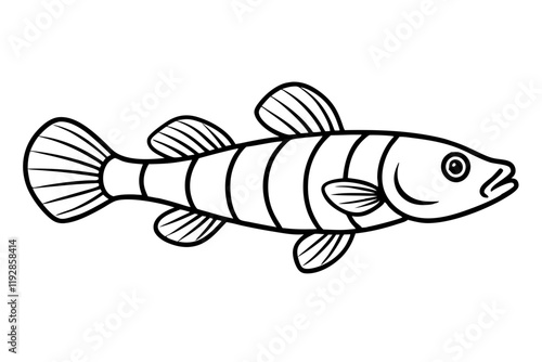 Goby Fish Vector Line Art Design | Marine Life Vector Illustration photo