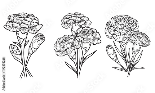 Beautiful set of carnation flower with leaves in black isolated on white. Hand drawn vector sketch illustration in doodle engraved vintage line art style. Birth month flower, realistic botanical icon