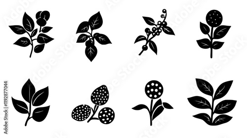 Collection of Black pepper, food vector art