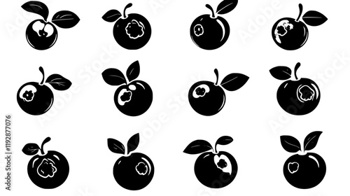 Collection of Blueberry, food vector art