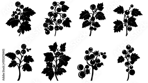 Collection of Currant, food vector art