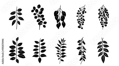 Collection of Curry Leaf, food vector art