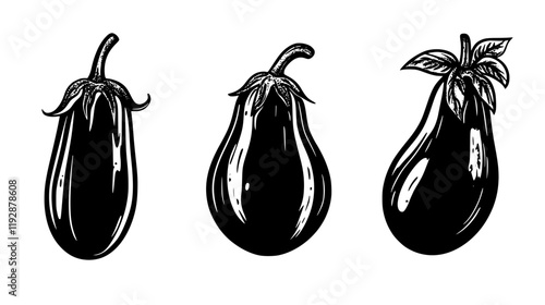Collection of Eggplant Parmesan, food vector art