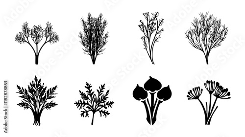 Collection of Fennel, food vector art