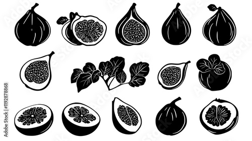 Collection of Fig, food vector art