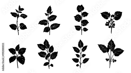 Collection of Lemon Balm icons, Lemon Balm vectorized seamless pattern