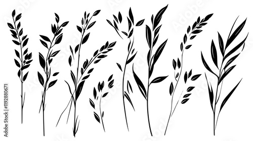 Collection of Oats, food vector art