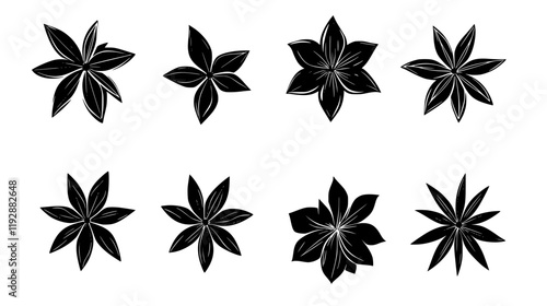 Collection of Star anise, food vector art