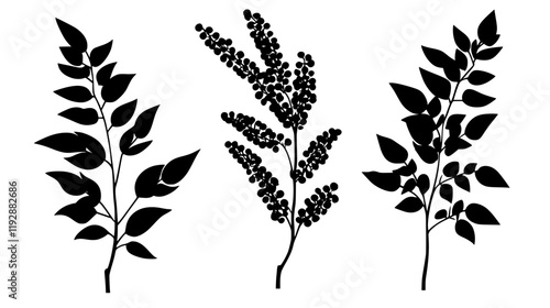 Collection of Sumac, food vector art