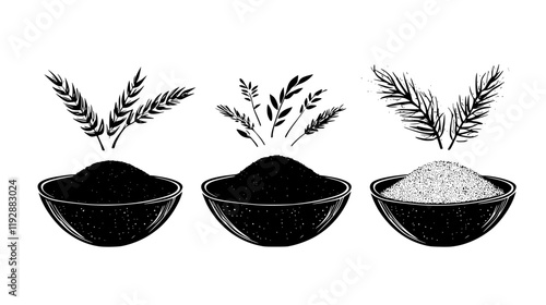 Collection of Teff flour, food vector art
