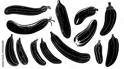 Collection of Zucchini, food vector art