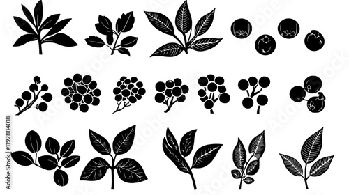 Wallpaper Mural Collection of Allspice, vectorized food design Torontodigital.ca