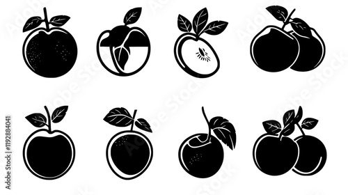Collection of Apricot, vectorized food design
