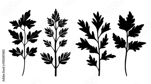 Collection of Lovage, vectorized food design