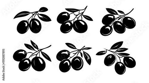 Collection of Marinated Olives, vectorized food design