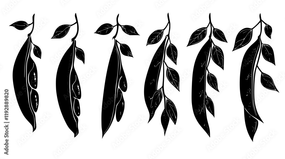 Collection of Snow peas icons, Snow peas vectorized seamless pattern Collection of Snow peas icons, Snow peas vectorized seamless pattern