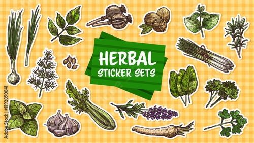 Stickers pack of spices and seasoning herbs sketches. Vector hand drawn rosemary, basil, thyme and parsley plants green leaves. Oregano, garlic, mint and nutmeg, cilantro, dill and poppy flower seeds