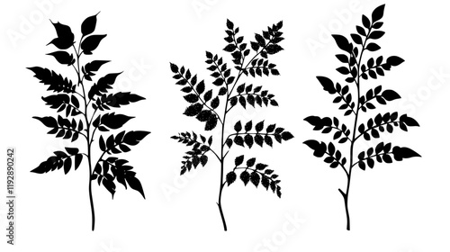 Collection of Sumac, vectorized food design