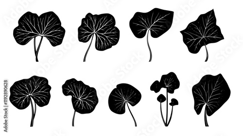 Collection of Taro, vectorized food design