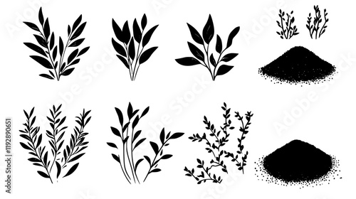 Collection of Teff, vectorized food design