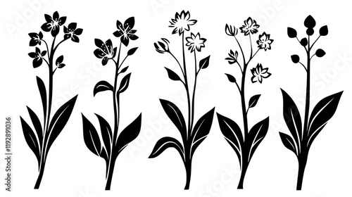 Wild Garlic tiled design, Wild Garlic repeating background illustration