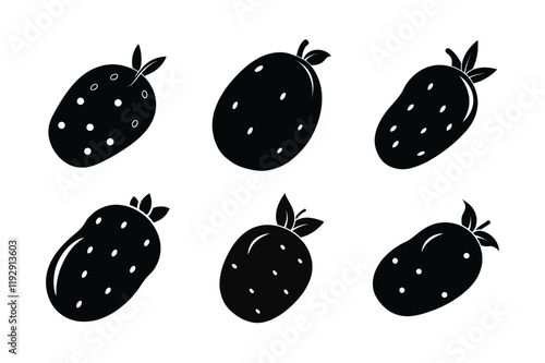 Potato (Solanum tuberosum) design, labeled silhouette vector illustration