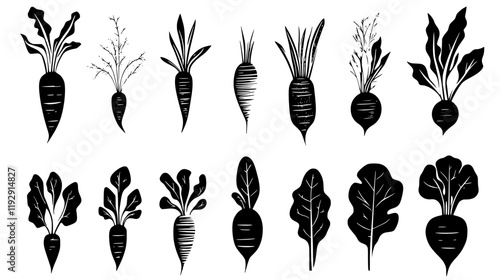 Collection of Arrowroot icons, Arrowroot illustration art, seamless pattern