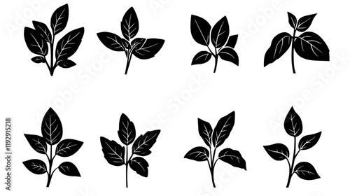 Collection of Basil vector icons, Basil vector art pattern