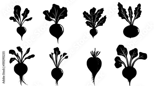 Collection of Beetroot digital art, Beetroot vector graphic, repetitive pattern