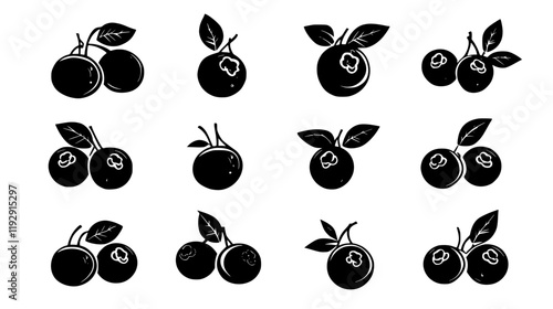 Collection of Blueberry vector icons, Blueberry vector art pattern